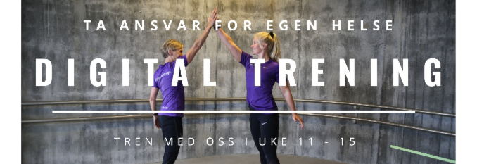 DIGITALE GRUPPETIMER FRA UKE 11 - 15
